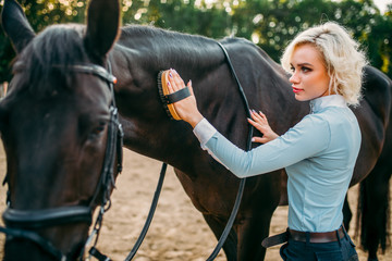 Woman take caring for the hair of brown horse