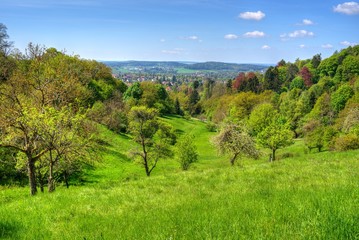 Fr&uuml;hlingserwachen Oberfranken