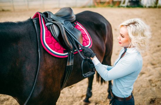Female rider preparing a horse saddle,