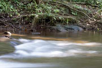 The waterfalls are sluggish in the afternoon.