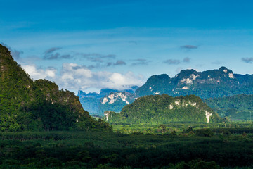 Fototapeta premium tropical rainforest in thailand.