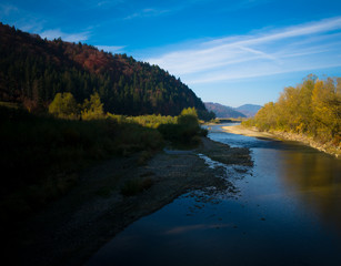 Fototapeta premium River flowing through a forest in autumn