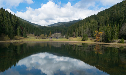 Fototapeta na wymiar Autumn forest reflected in a lake in late autumn