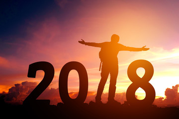 Silhouette of Traveler man Happy for 2018 new year