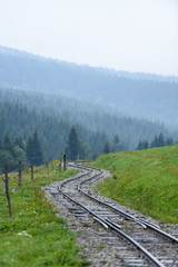 Fototapeta premium wavy railroad tracks in wet summer day in forest