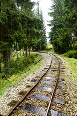 Fototapeta premium wavy railroad tracks in wet summer day in forest
