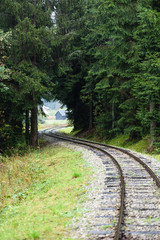 wavy railroad tracks in wet summer day in forest