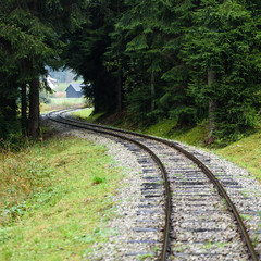Obraz premium wavy railroad tracks in wet summer day in forest