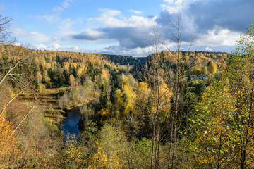 panoramic view of autumn forest