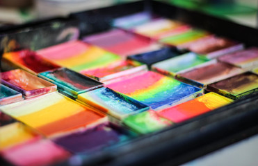 Body Paint artist palette