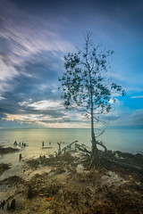 Fototapeta na wymiar beautiful landscape from Mentawai Island