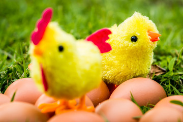 chicken  toy with eggs in the grass