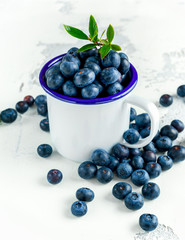 Freshly picked Blueberries in vintage mug with green leaves on top
