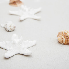 Fototapeta na wymiar Seashells and starfish border