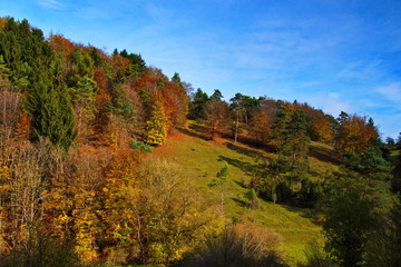 Naklejka premium Landschaft im Herbst mit Wiesen und bunten Bäumen in idyllischer Natur in der Eifel