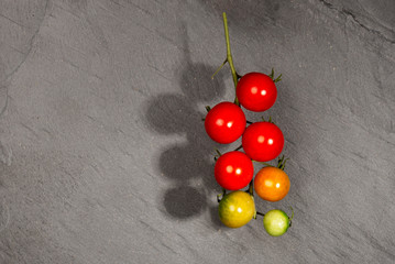 immature tomato panicle isolated on dark textured background