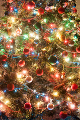 Fototapeta na wymiar Christmas tree in lights