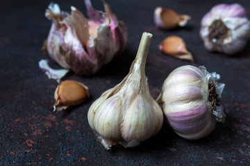 Fresh fragrant garlic on a dark background with copy space