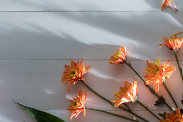 flowers on white wood  with light and shadow
