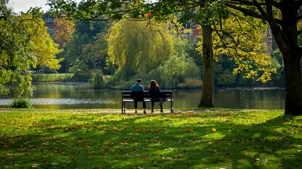 couple of woman and man sitting on the bench in autumn sunny park © Maksims