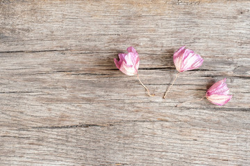 Verwelkte Blüten Orchidee auf rustikalen Holz der Eiche