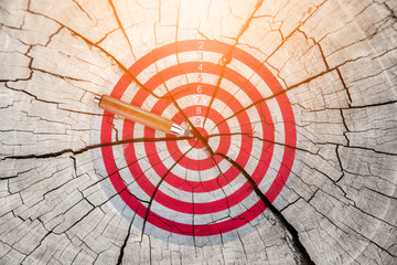 tree trunk wood crack pattern background