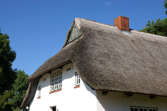 Reetdachhaus im Dorf Siggeneben , Ostholstein, Schleswig-Holstein