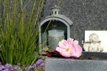At the Cemetery, am Friedhof, Grab, Grabpflege, Tod