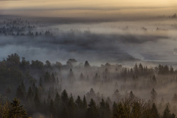 Fototapeta premium Morgendämmerung über den Wäldern bei Wolfratshausen