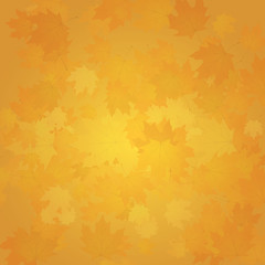 Abstract nature background. Scattered leaves. Autumn colors