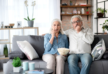 Senior man and woman viewing TV at home