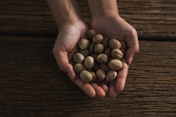 Hands holding nutmeg against wooden table
