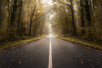 Herbstliche Landstraße