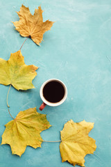 Cup of hot coffee or tea and autumn maple leaves on the blue background. Delights of the fall.