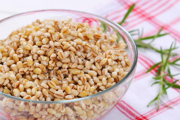 cooked pearl barley