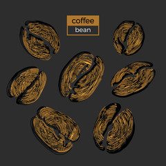 Set of different golden coffee beans on black background. Vector collection. Sketch