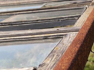Detail of derelict glass house roof