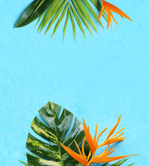 tropical flowers on a blue background
