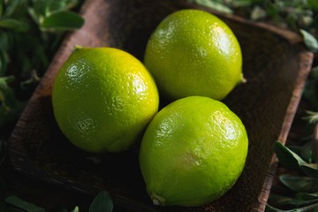 Lime fruits in a bowl with herbs