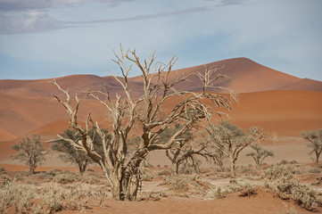 Namibia