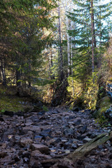 A tranquil stream flows over a rocky bed in a colorful autumn forest.