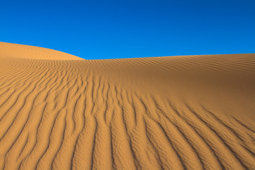 El desierto de Mhamid