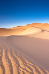 Fototapeta na wymiar El desierto de Mhamid