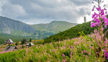 Beautiful scenery in Polish Tatra Mountains