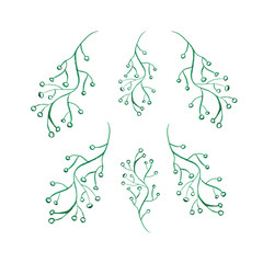 Watercolor floral objects set. Winter branches isolated on white background. Hand drawn plants clip art