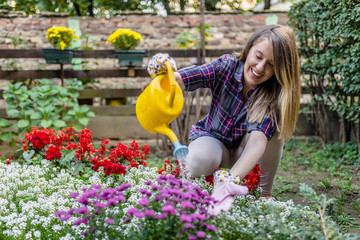 Watering dry flowers with a yellow watering can