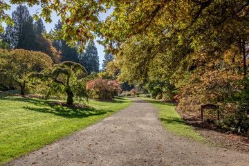 Azela Way Path Seattle Arboretum