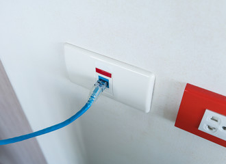 Internet blue cable plug into the white network outlet
