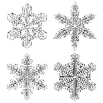 Realistic Snowflake Black And White Icon Set 
