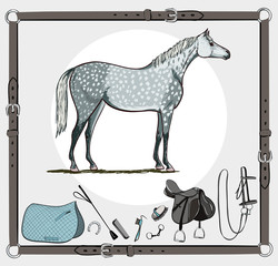 Horse and riding tack tools in leather belt frame. Bridle, saddle, stirrup, brush, bit, harness, whip equine harness equipments. Hand drawing cartoon vector equestrian sport equestrian background set.